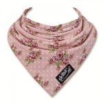Vintage Rose Skibz Teething Bib